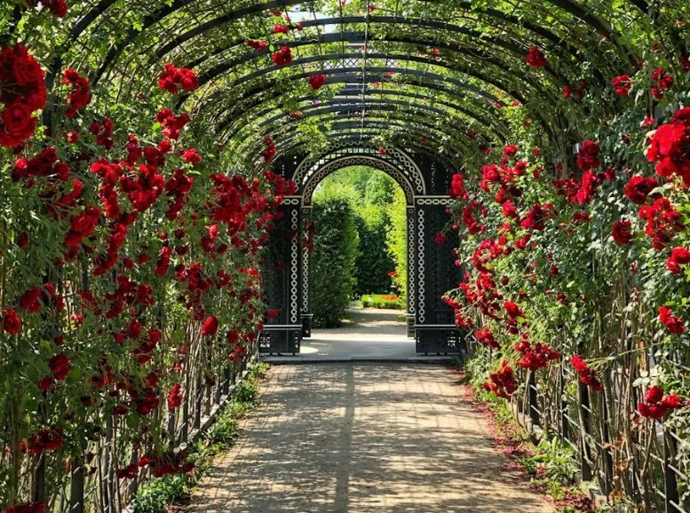 Rose Garden